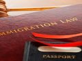 Immigration Lawyer