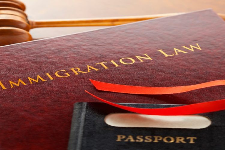 Immigration Lawyer